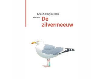 De Zilvermeeuw