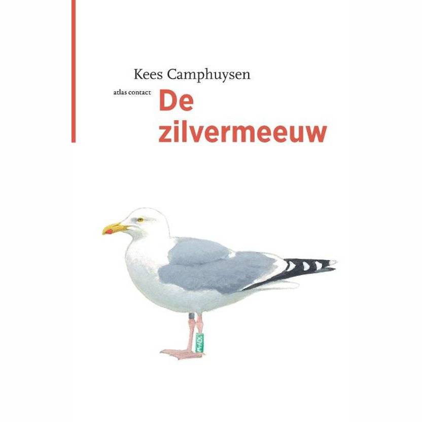 De Zilvermeeuw