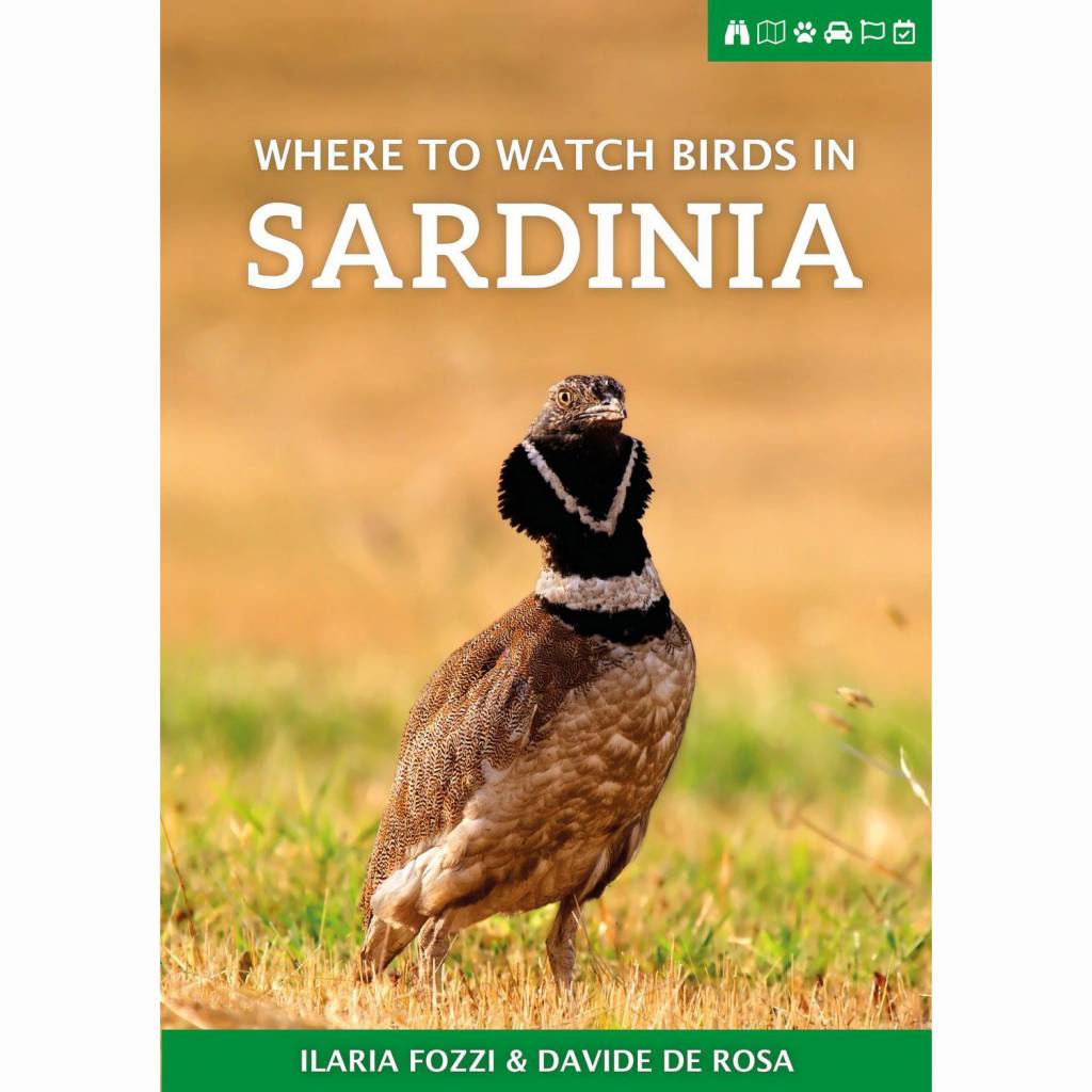 Where to Watch Birds in Sardinia