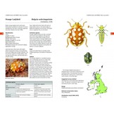 Field Guide to the Ladybirds of Great Britain and Ireland