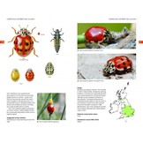 Field Guide to the Ladybirds of Great Britain and Ireland