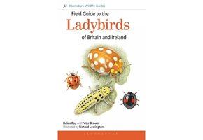 Field Guide to the Ladybirds of Great Britain and Ireland