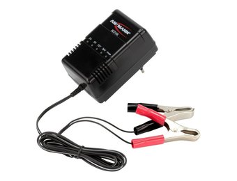 Ansmann Blei-Säure-Ladegerät ALCS 2-24A