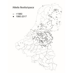 Determinatietabel van Kranswieren van de Benelux