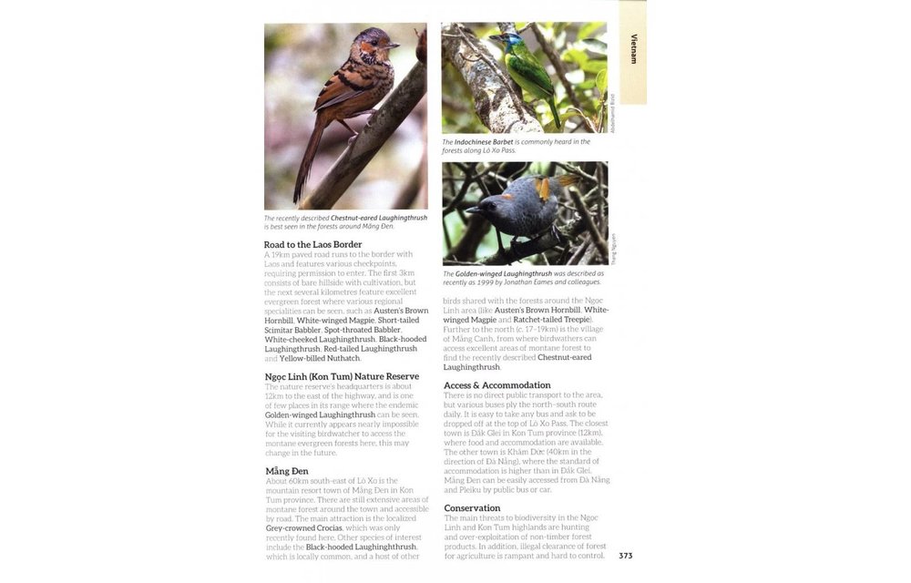 The 125 Best Bird Watching Sites in Southeast Asia