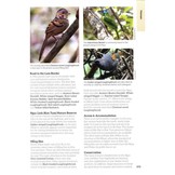 The 125 Best Bird Watching Sites in Southeast Asia