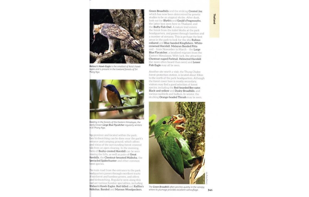 The 125 Best Bird Watching Sites in Southeast Asia
