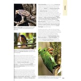 The 125 Best Bird Watching Sites in Southeast Asia