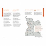 The Special Birds of Angola