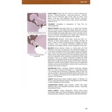 Canids of the World Wolves, Wild Dogs, Foxes, Jackals, Coyotes, and Their Relatives