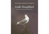 Gulls Simplified