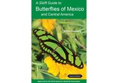 A Swift Guide to Butterflies of Mexico and Central America