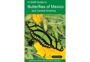 A Swift Guide to Butterflies of Mexico and Central America