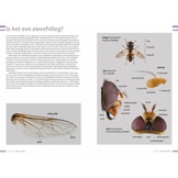 Veldgids Zweefvliegen