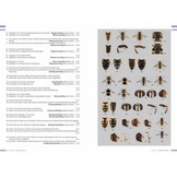 Veldgids Zweefvliegen