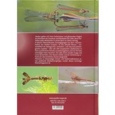 Die Libellen Europas - Alle Arten von den Azoren bis zum Ural im Porträt