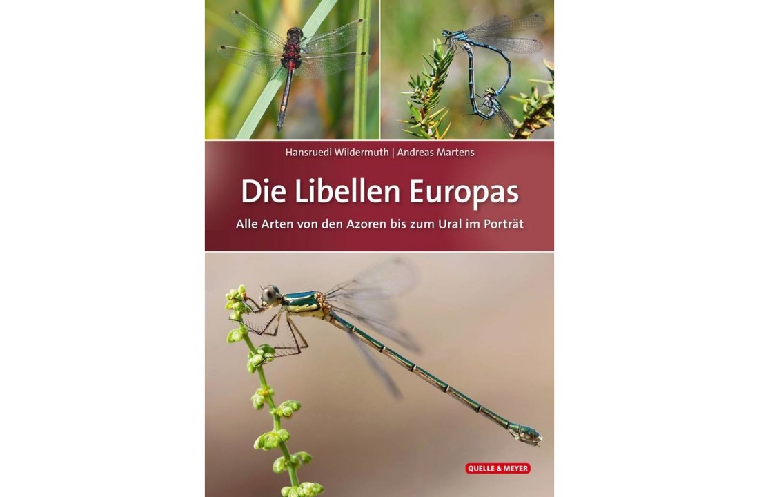 Die Libellen Europas - Alle Arten von den Azoren bis zum Ural im Porträt