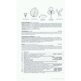 Dendrologie van de Lage Landen - Bomen en struiken herkennen & determineren