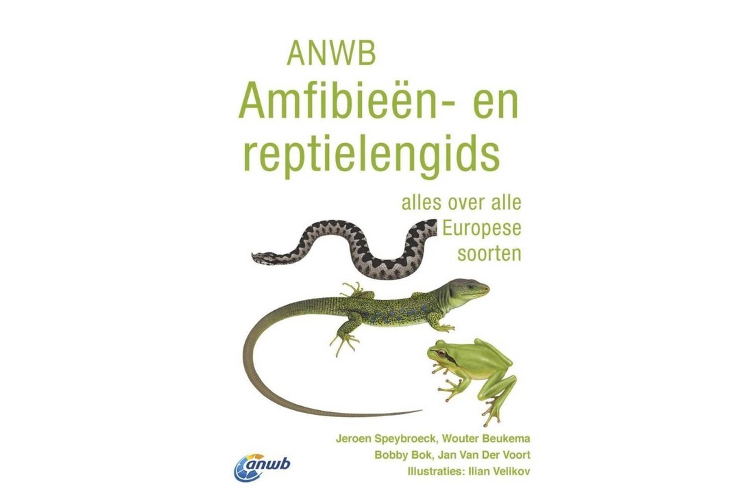ANWB Amfibieën- en reptielengids - alles over alle Europese soorten