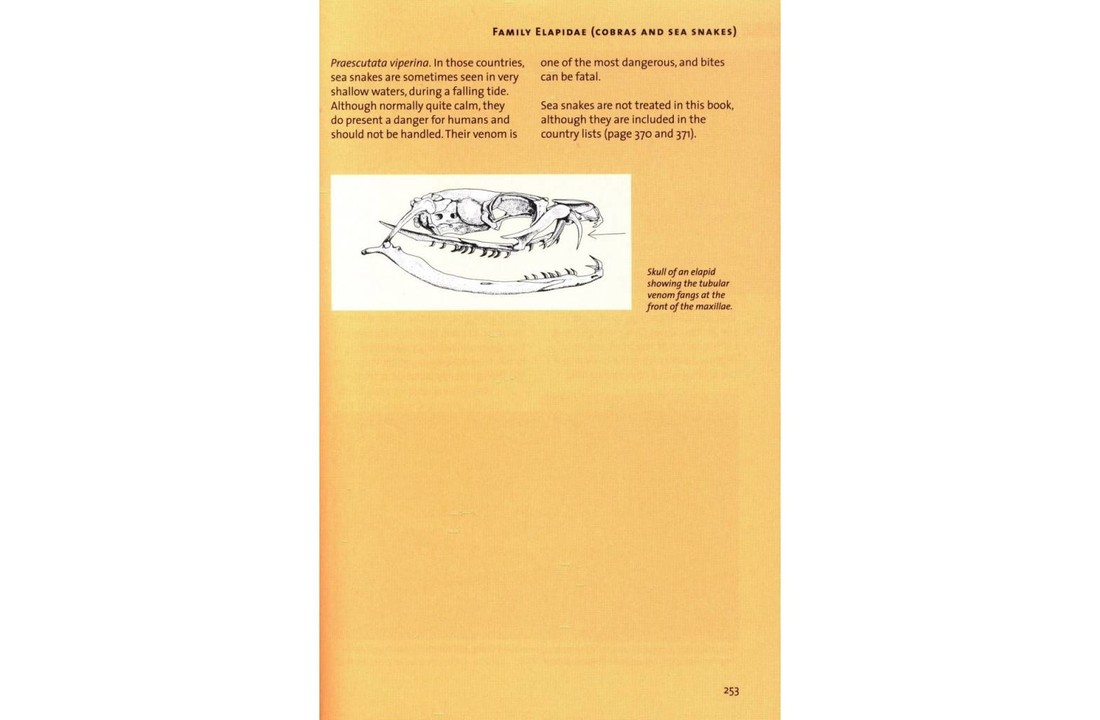 Snakes of Europe, North-Africa & The Middle East - A Photographic Guide