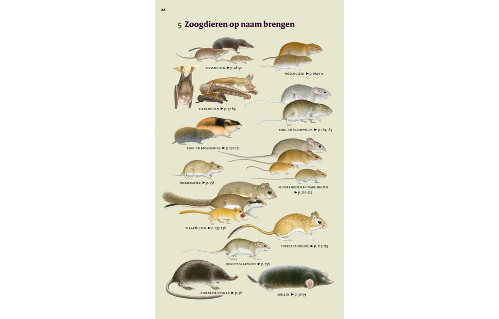Veldgids Europese Zoogdieren