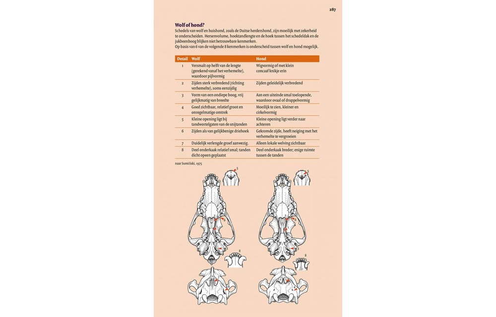 Veldgids Europese Zoogdieren