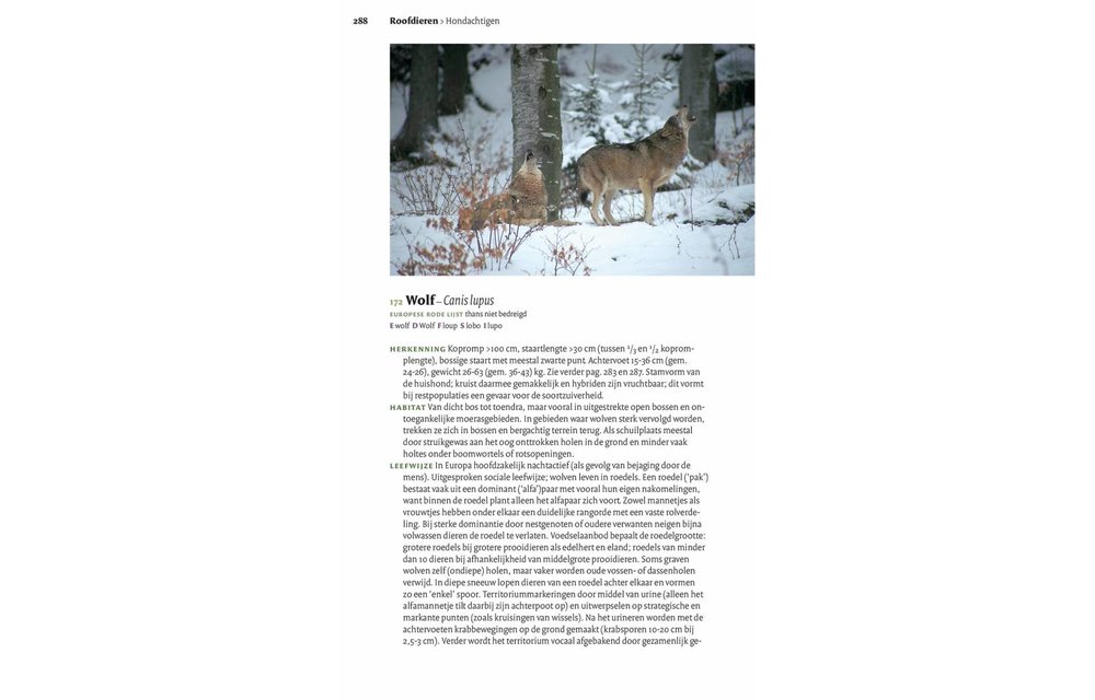 Veldgids Europese Zoogdieren