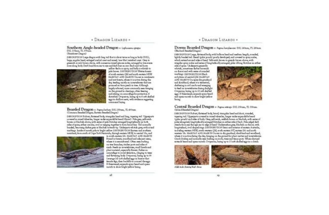 A Naturalist's Guide to the Reptiles of Australia