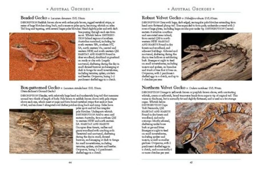 A Naturalist's Guide to the Reptiles of Australia