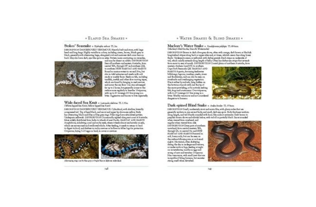 A Naturalist's Guide to the Reptiles of Australia