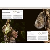 Bats - An Illustrated Guide to All Species