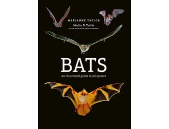 Bats - An Illustrated Guide to All Species