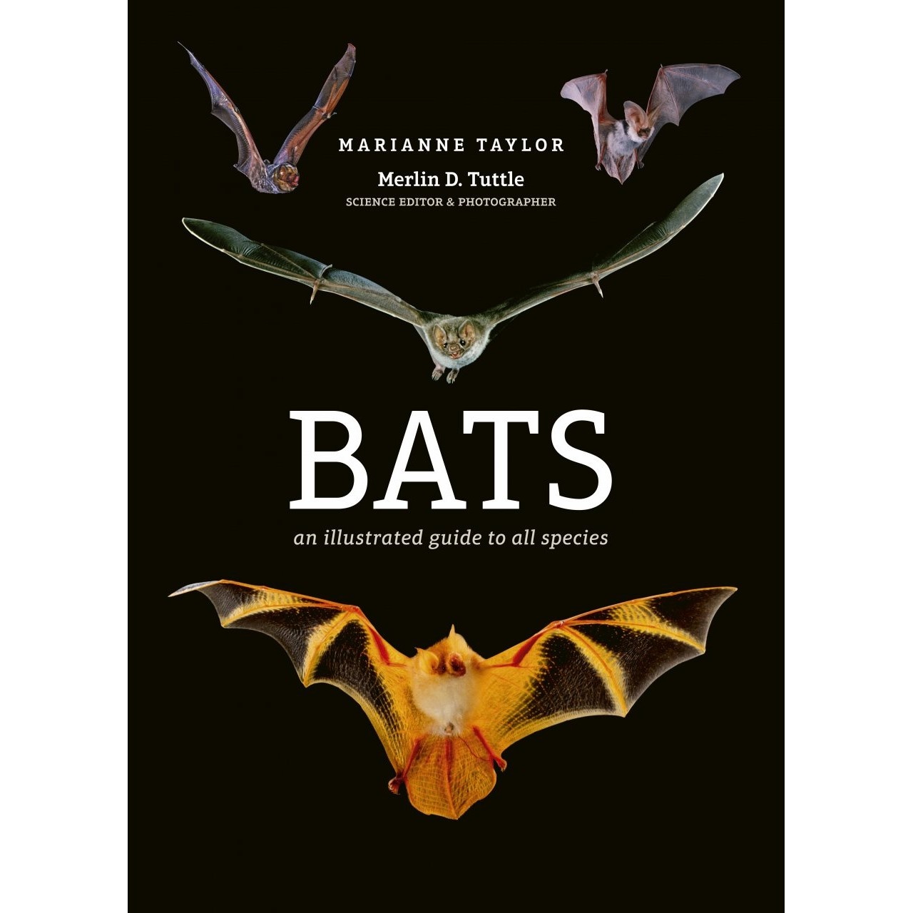 Bats - An Illustrated Guide to All Species