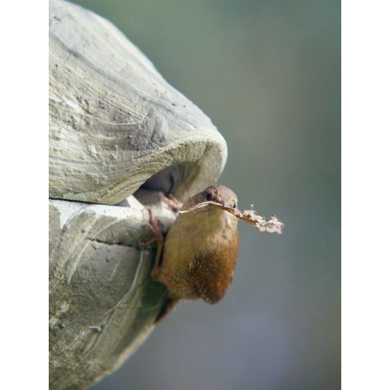 Schwegler Spherical Wren House  1ZA Green/Red