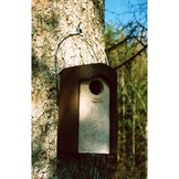 Schwegler Spreeuwenkast 3S