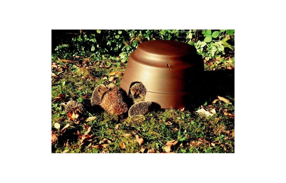 Hedgehog Dome with insulated base