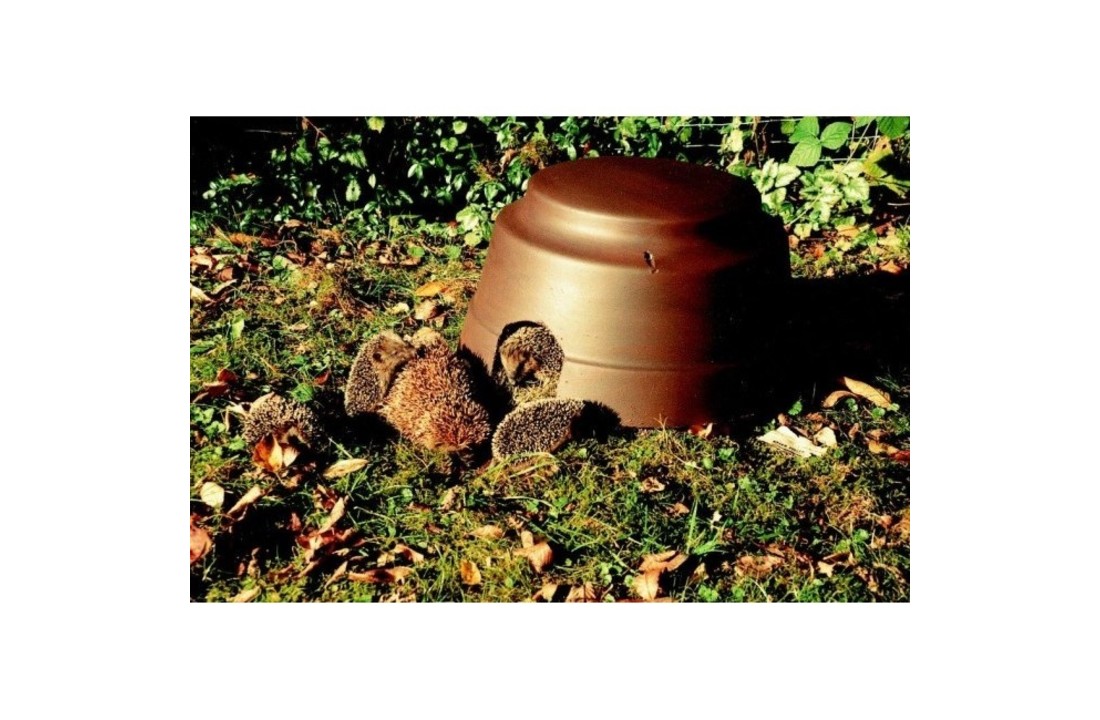 Hedgehog Dome with insulated base