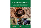 Bat Roosts in Trees