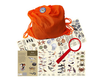 Detective Package Beach Finds