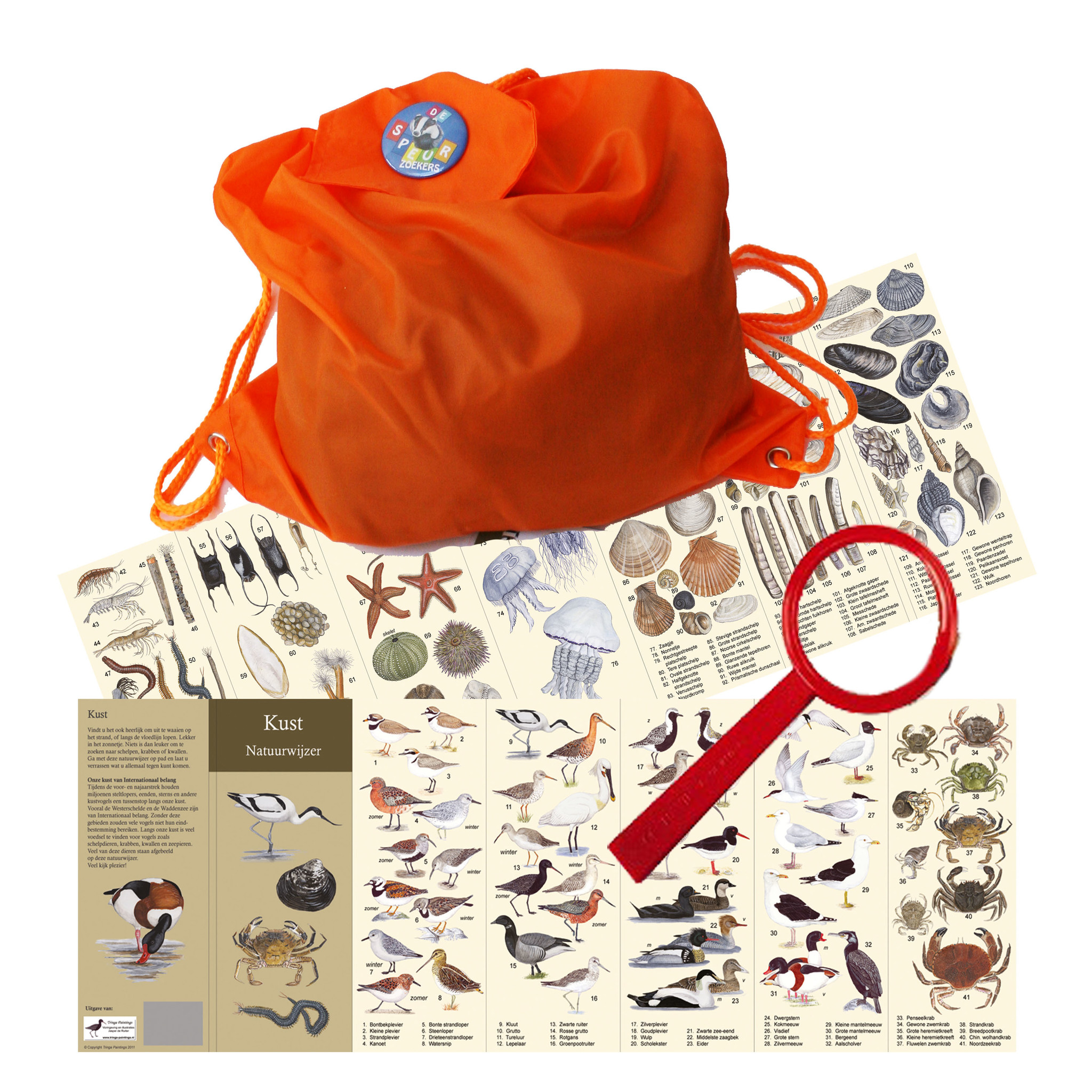 Detective Package Beach Finds