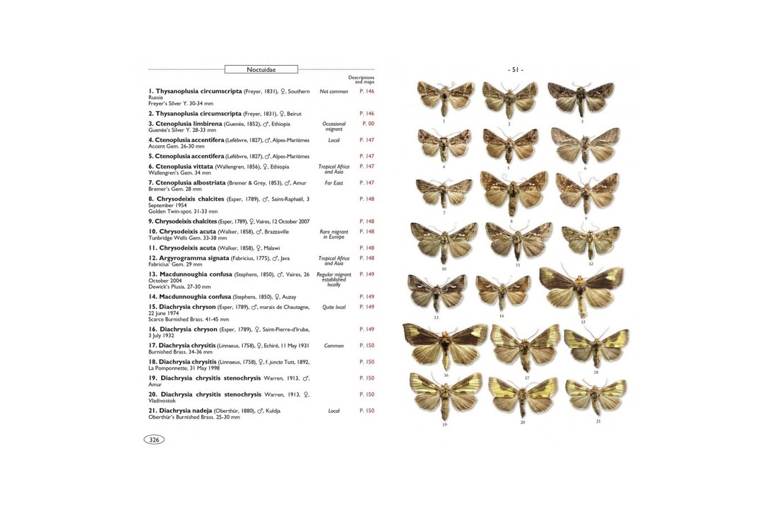 Moths of Europe, Volume 5: Noctuids 1