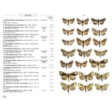 Moths of Europe, Volume 5: Noctuids 1