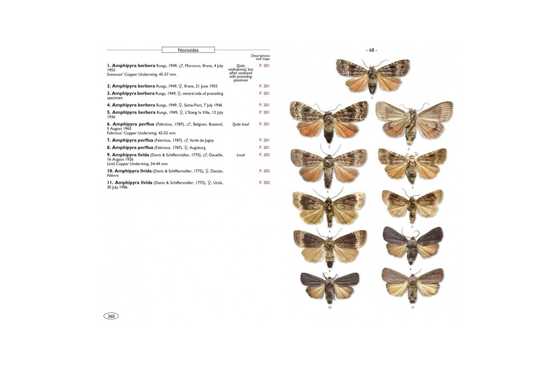 Moths of Europe, Volume 5: Noctuids 1