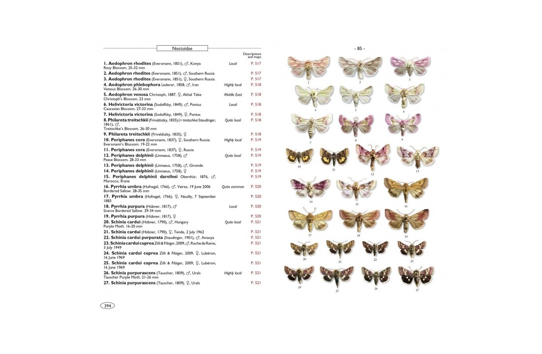 Moths of Europe, Volume 5: Noctuids 1