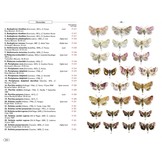 Moths of Europe, Volume 5: Noctuids 1