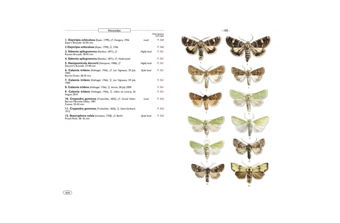 Moths of Europe, Volume 5: Noctuids 1