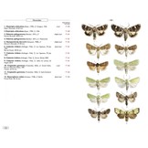 Moths of Europe, Volume 5: Noctuids 1