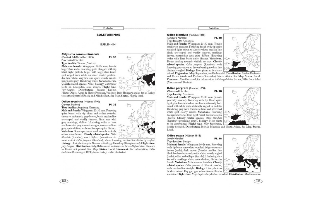 Moths of Europe, Volume 5: Noctuids 1