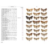 Moths of Europe, Volume 6: Noctuids 2