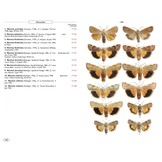 Moths of Europe, Volume 6: Noctuids 2